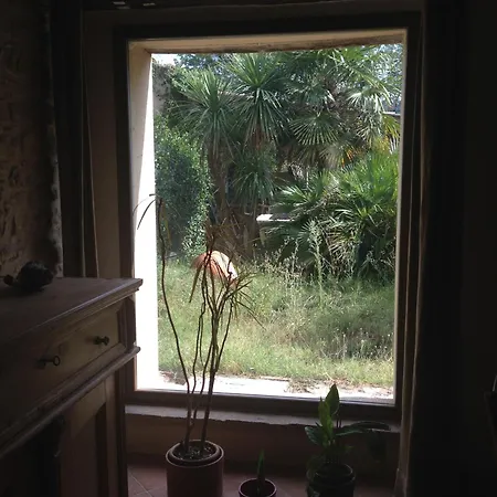 Stone In 乡村民宿 Moie