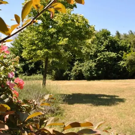 Stone In 乡村民宿 Moie